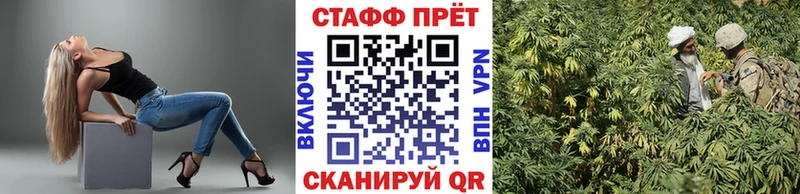 Купить закладку Ельня ГАШИШ  А ПВП  Cocaine  Меф мяу мяу  Галлюциногенные грибы  MEGA как зайти  МАРИХУАНА 