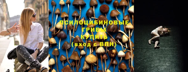 spice Баксан