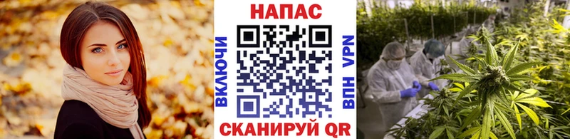 Шишки марихуана ГИДРОПОН  Ельня 
